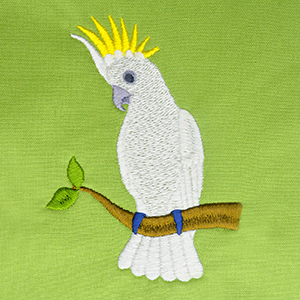 The ’Bird’ Behind the Birds plus FREE Cockatoo Design