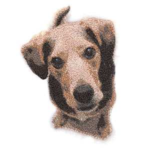Create Memorable Embroidered gifts with the NEW PhotoStitch and PhotoFlash Tools