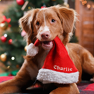 10 Paw-fect Embroidered Christmas Gifts For Your Furry Friends
