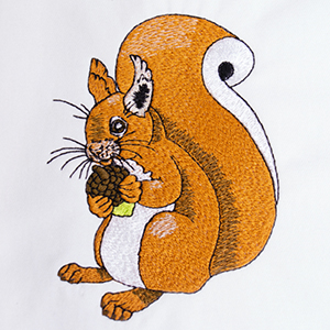 Read more about the article Cyril the Squirrel